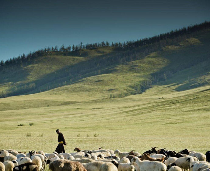 Steppe in der Mongolei