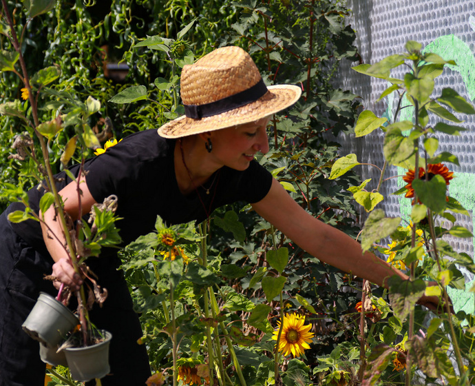 Die ANNALINDE-Gärtnerei - urbane Landwirtschaft Leipzig